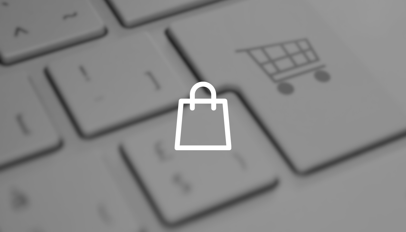 Das Titelbild für den Blogbeitrag "ERP für den Einkauf" mit einem Einkaufstaschen-Icon