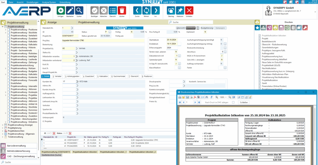 Eine AvERP-Maske, welche die Projektverwaltung abbildet inkl. einer Druckvorschau für die Istkosten.